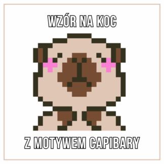 Motyw kapibary do koca z grubej włóczki – wzór PDF